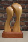 2010-11-17 15-30-22